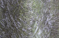 Westhead fibreglass roof work